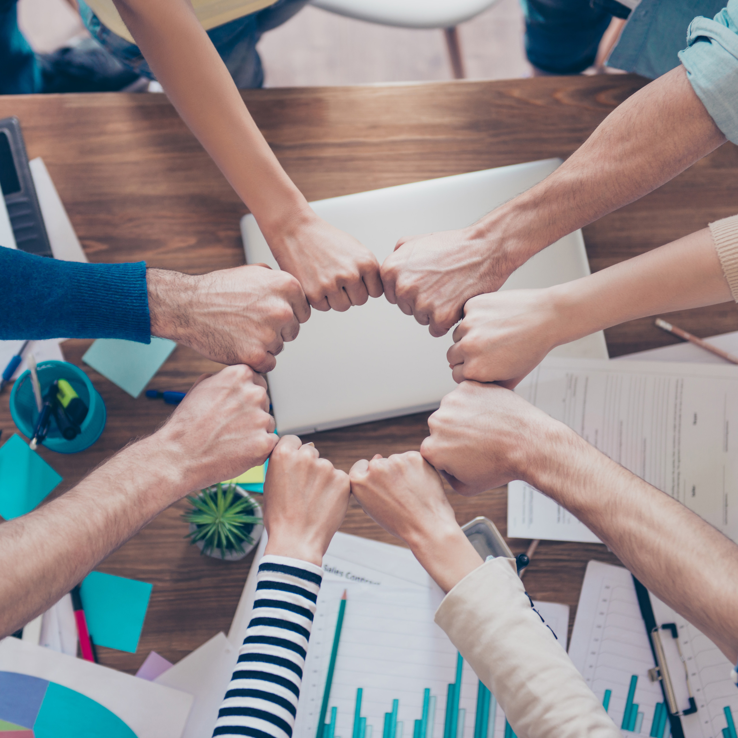 Team dat elkaar vuistjes geeft